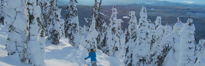 The 5 Best Ski Resorts near Kelowna