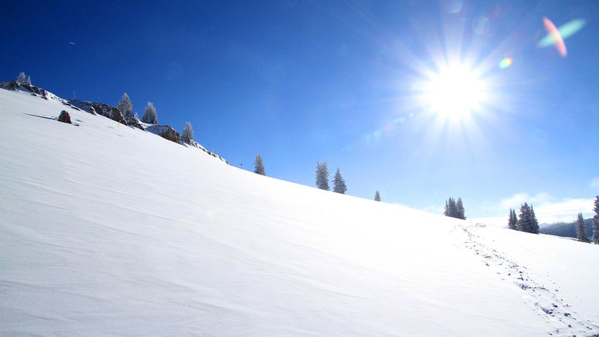 vail back bowl powder on a blue bird day