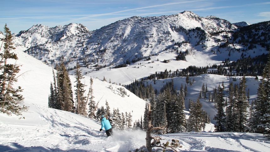 only skiers allowed at alta