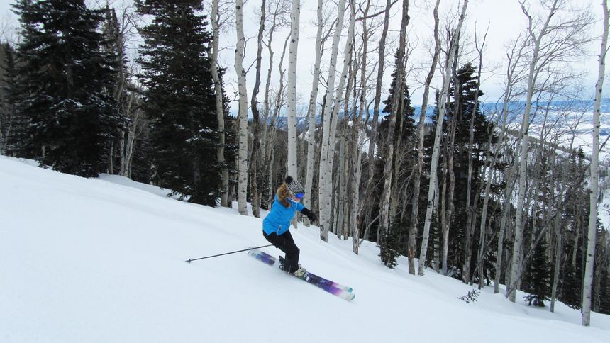 steamboat springs is famous for its tree skiing