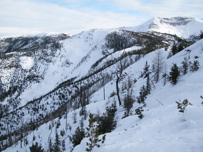 Taynton Bowl Panorama Mountain Resort