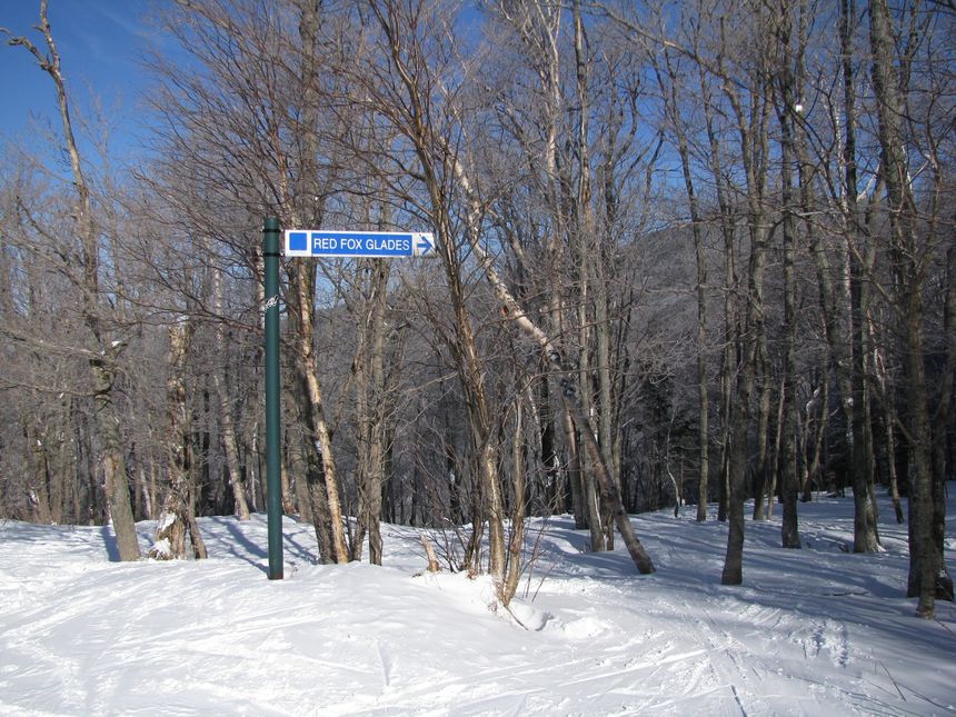 red fox glades tree skiing smugglers notch
