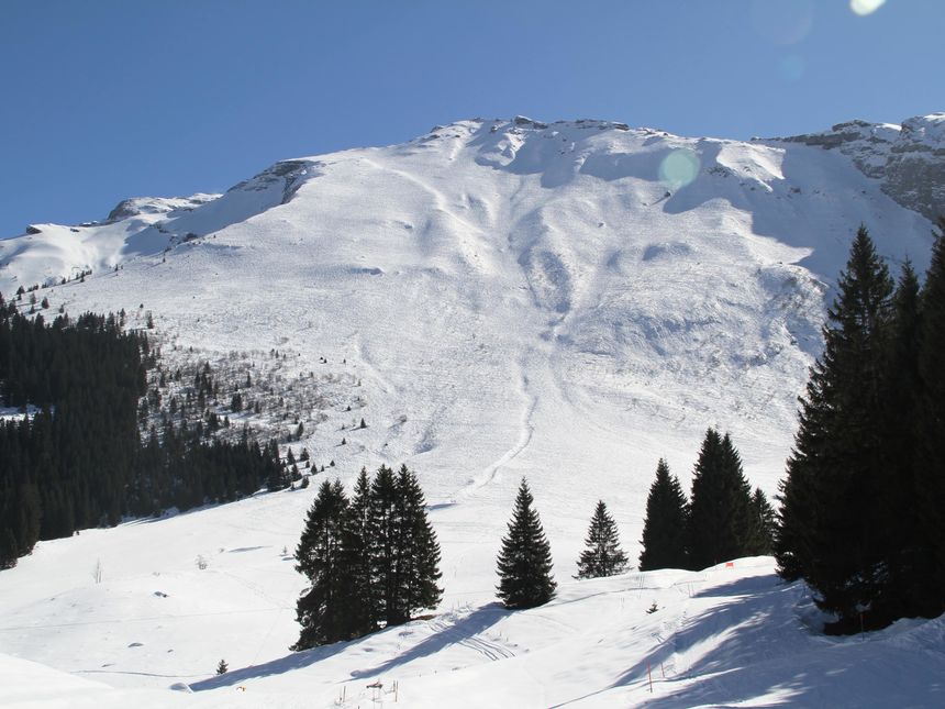 Laub off piste area Engelberg