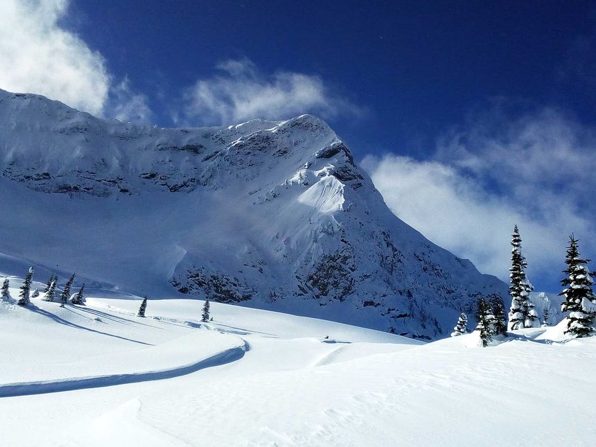 Fernie Alpine ski terrain